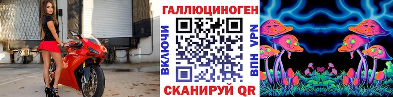 darknet какой сайт Иноземцево Псилоцибиновые грибы Magic Shrooms