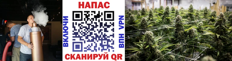 Каннабис SATIVA & INDICA  где найти   гидра онион  Иноземцево 
